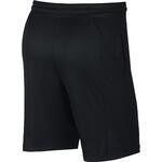 Баскетбольные шорты Nike | 910704-010