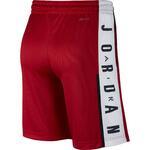 Шорты Jordan Rise Graphic | 888376-687
