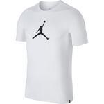 Футболка Jordan Dry JMTC 23/7 | 925602-100