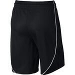 Шорты Nike Dry | 869472-010