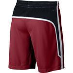 Шорты Jordan Flight Basketball | 887428-687
