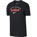 Футболка Nike Dry LeBron | 913477-010
