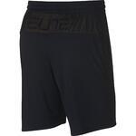 Баскетбольные шорты Nike Dry | 891768-013