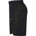 Баскетбольные шорты Nike Dry | 891768-013