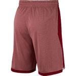 Шорты Nike Dry Basketball | 891812-677