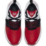 Детские баскетбольные кроссовки Nike Team Hustle D 8 (GS) | 881941-600