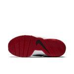 Детские баскетбольные кроссовки Nike Team Hustle D 8 (GS) | 881941-600