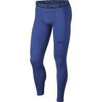 Тайтсы Nike Pro | 838067-480