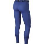Тайтсы Nike Pro | 838067-480