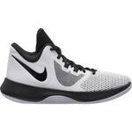 Баскетбольные кроссовки Nike Precision II | AA7069-100