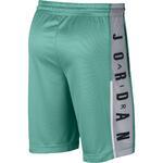 Шорты Jordan Rise Graphic | 888376-349
