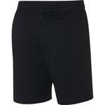 Шорты Jordan Sportswear AJ | AA4607-010