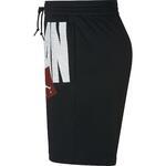 Шорты Jordan Sportswear AJ | AA4607-010