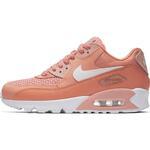 Кроссовки Nike Air Max 90 SE | 881105-604