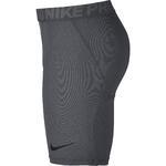Шорты Nike Pro | 838061-091