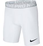 Шорты Nike Pro | 838061-100