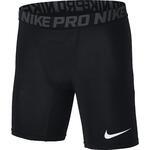 Шорты Nike Pro | 838061-010