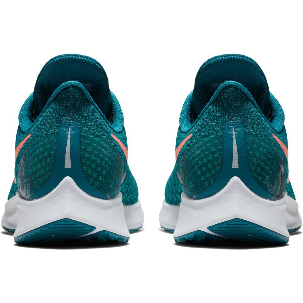 Nike Air Zoom Pegasus 35