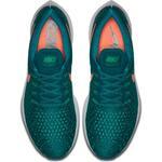 Кроссовки Nike Air Zoom Pegasus 35 | 942851-300