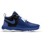 Детские баскетбольные кроссовки Nike Team Hustle D 8 (GS) | 881941-405