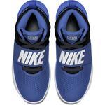 Детские баскетбольные кроссовки Nike Team Hustle D 8 (GS) | 881941-405