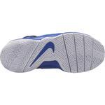 Детские баскетбольные кроссовки Nike Team Hustle D 8 (GS) | 881941-405