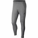 Брюки Jordan Dry 23 Alpha Training Pants - картинка