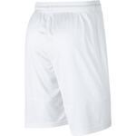 Баскетбольные шорты Nıke Short Hbverbıage  | 891536-100