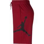 Шорты Air Jordan Jumpman Fleece Short - картинка