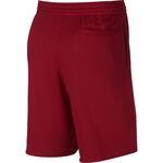 Шорты Air Jordan Jumpman Fleece Short | AQ3115-687