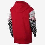 Толстовка Jordan Sportswear Pinnacle Hoodie | AJ5843-657