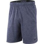 Шорты Nike Dry Training Short | AA1555-011