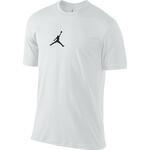 Футболка Jordan SS Drifit Tee - картинка