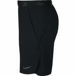 Спортивные шорты Nike Flex Short Vent Max 2.0 - картинка