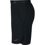 Спортивные шорты Nike Flex Short Vent Max 2.0 | 886371-010