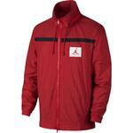 Олимпийка Jordan Sportswear Wings of Flight | AH6242-687