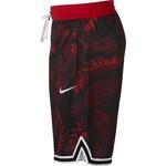 Баскетбольные шорты  Nike Dri-fit Dna | AR1321-657
