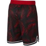 Баскетбольные шорты  Nike Dri-fit Dna | AR1321-657