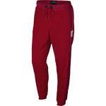 Штаны Jordan Sportswear Wings of Fligh | AH6257-687