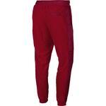 Штаны Jordan Sportswear Wings of Fligh | AH6257-687