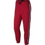 Штаны Jordan Jumpman Air HBR | AR2250-687