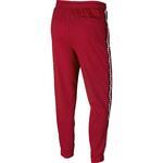 Штаны Jordan Jumpman Air HBR | AR2250-687