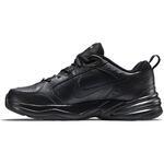 Кроссовки Nike Air Monarch IV  | 415445-001