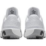 Баскетбольные кроссовки Jordan Ultra Fly 3 Low | AO6224-100