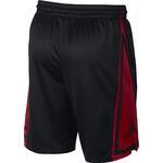 Баскетбольные шорты Jordan Dri-FIT Franchise | AJ1120-010