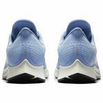 Кроссовки Nike Air Zoom Pegasus 35 | 942855-405