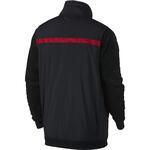Толстовка Jordan Sportswear Wings of Flight | AH6255-010