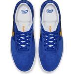 Кроссовки Nike SB Team Classic | AH3360-400