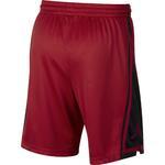 Баскетбольные шорты Jordan Dri-FIT Franchise | AJ1120-687