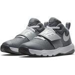 Детские баскетбольные кроссовки Nike Team Hustle D 8 | 881941-005